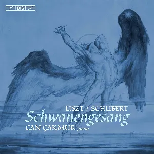 Pochette de Schwanengesang de Franz Liszt - Franz Schubert