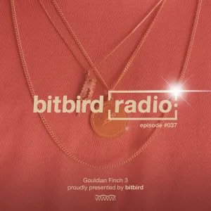 Pochette de San Holo Presents: bitbird Radio #037 de San Holo