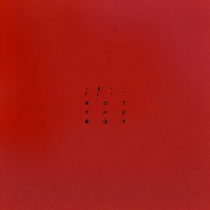 Pochette de Not the Boy de A$AP Ferg