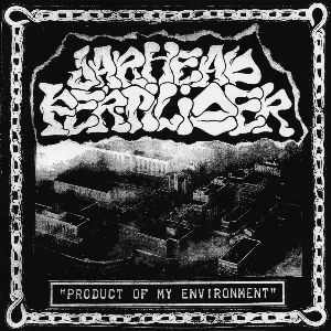 Pochette Product of My Environment
