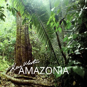 Pochette de Amazonia de Ken Martin