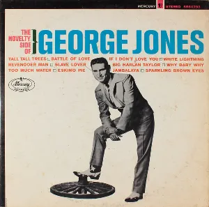 Pochette The Novelty Side of George Jones