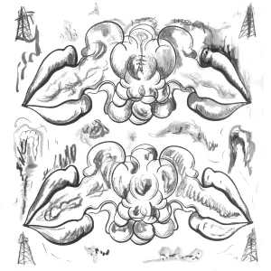 Pochette de Criminals / Illusions de The Notwist