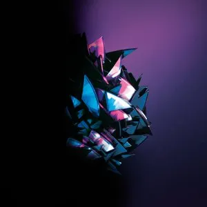 Pochette de Distosolista de Frank Riggio