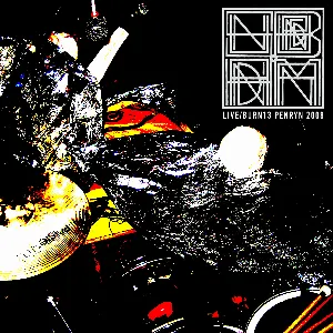Pochette de Live Burn 13 - Penryn, Cornwall, England, 06/2008 de Sunburned Hand of the Man