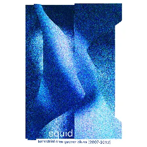 Pochette de Terrestrial Changeover Blues (2007–2012) de Squid