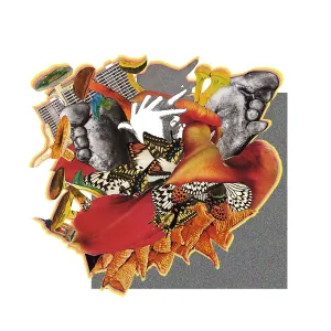 Pochette de Affordance de Daoko