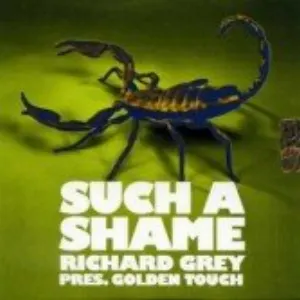 Pochette de Such A Shame de Richard Grey