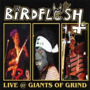 Pochette de Live @ Giants of Grind de Birdflesh
