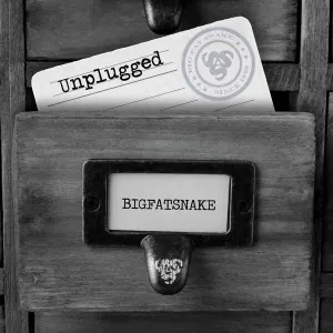 Pochette de Unplugged (Unplugged) de Big Fat Snake