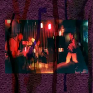 Pochette de FEELSLive 04/05 de Animal Collective