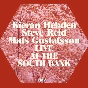 Pochette de Live at the South Bank de Mats Gustafsson