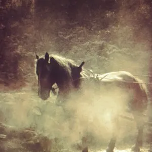 Pochette de Seven Hells, Volume IV: Into the Flowery de Kevin Drumm