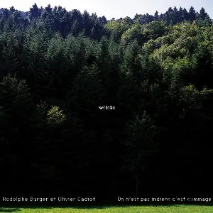 Pochette de Welche : On n'est pas indiens c'est dommage de Rodolphe Burger