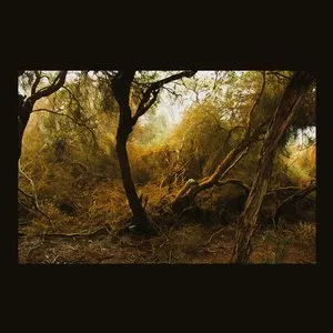 Pochette de Son of Parasol de Lubomyr Melnyk