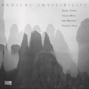 Pochette de Radical Invisibility de Federico Ughi - Daniel Carter