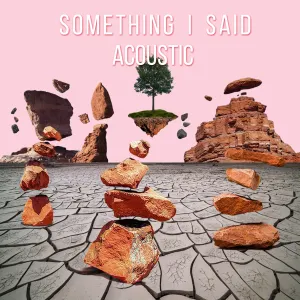 Pochette de Something I Said (Acoustic) de Tors