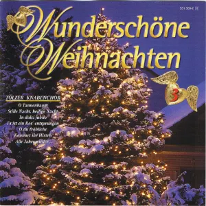 Pochette de Wunderschöne Weihnachten, Folge 3 de Tölzer Knabenchor