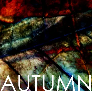 Pochette de AUTUMN o4 de and all was bright