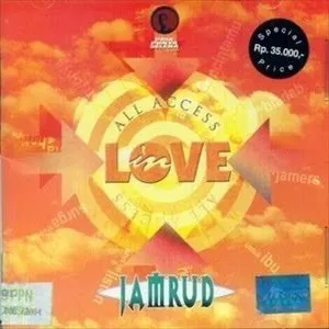 Pochette de All Access In Love de Jamrud