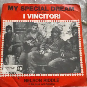 Pochette de My Special Dream / Questo Pazzo Pazzo Pazzo... Pazzo Mondo de Nelson Riddle and His Orchestra