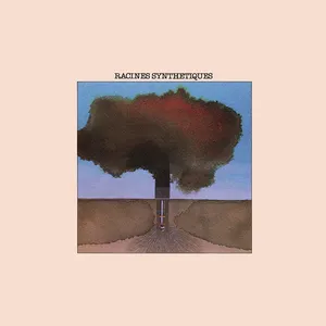 Pochette de Racines synthétiques de Joël Fajerman