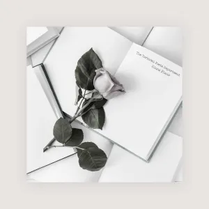 Pochette de The Tortured Poets Department: Piano Instrumentals de Minnz Piano