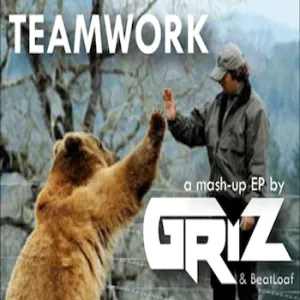 Pochette de TeaMWork de GRiZ
