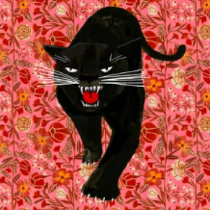 Pochette The Panther
