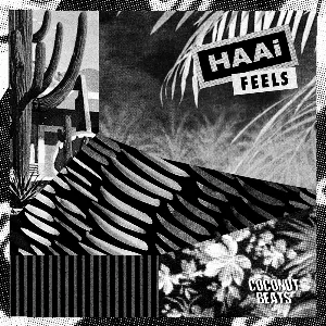 Pochette de Feels de HAAi