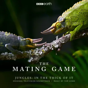 Pochette de The Mating Game - Jungles: In The Thick Of It (Original Television Soundtrack) de Tom Howe