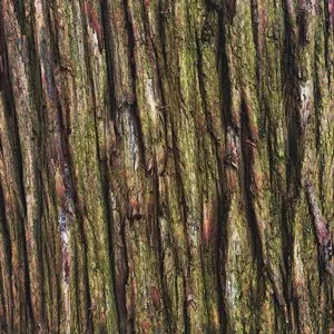 Pochette de Eloise de invention_