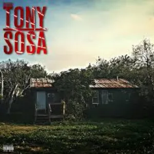 Pochette de Tony Sosa (remix) de Booba