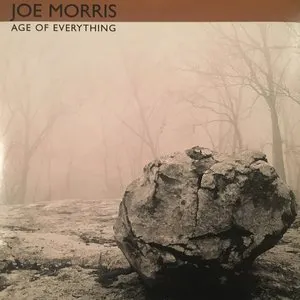 Pochette de Age Of Everything de Joe Morris