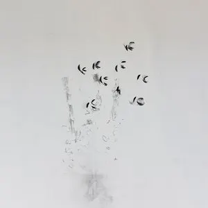 Pochette de Skin Tones de David Toop