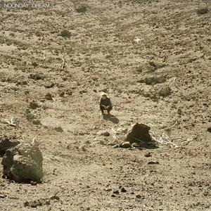 Pochette de Nica Libres at Dusk de Ben Howard