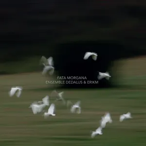 Pochette de Fata Morgana de eRikm