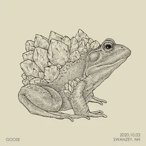 Pochette de 2020.10.03 Swanzey, NH de Goose