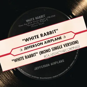 Pochette White Rabbit