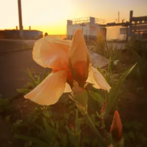 Pochette de We’re Floating de Karen Vogt