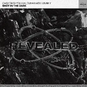 Pochette de Shot in the Dark de Linney