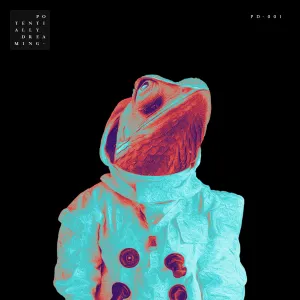 Pochette de Aquarius de Estiva