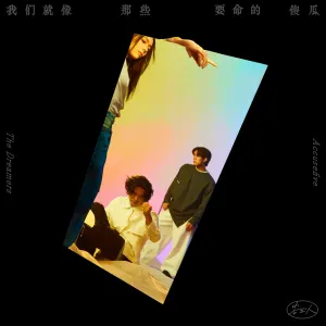 Pochette de 我們就像那些要命的傻瓜 de Accusefive