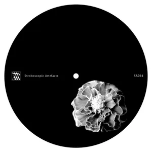 Pochette de [untitled] de Xhin