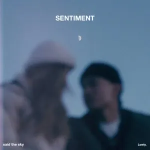 Pochette de Sentiment de Said the Sky