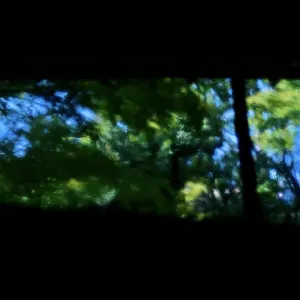 Pochette de Die Ferne Stimme, Ferner Raum de Ueda Takayasu