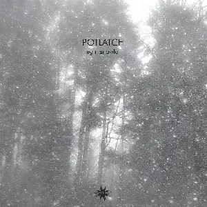Pochette de Night Snowfall de Potlatch