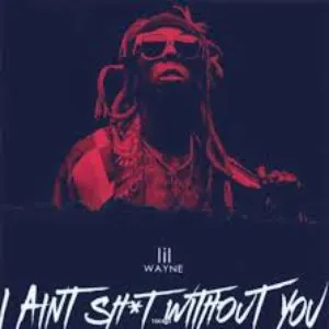 Pochette de I Aint Sh*t Without You de Lil Wayne