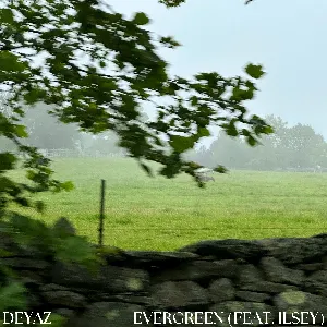 Pochette de Evergreen de Deyaz - Ilsey Juber