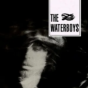 Pochette The Waterboys